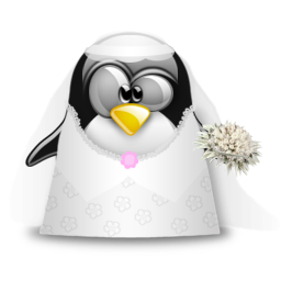 penguin pingouin pinguino 284